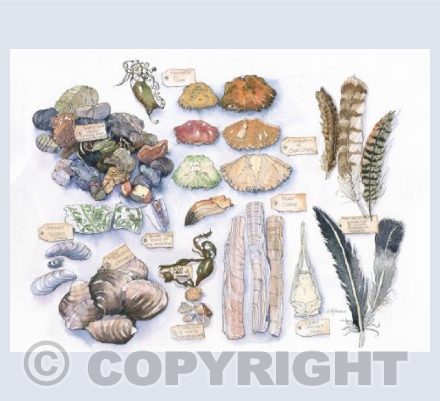 Natures Table
