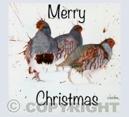 Partridges in the Snow