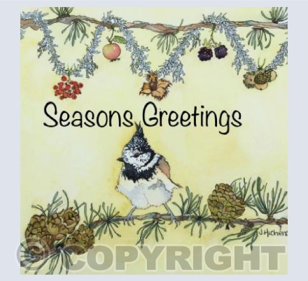 Seasons Greetings Crested Tit