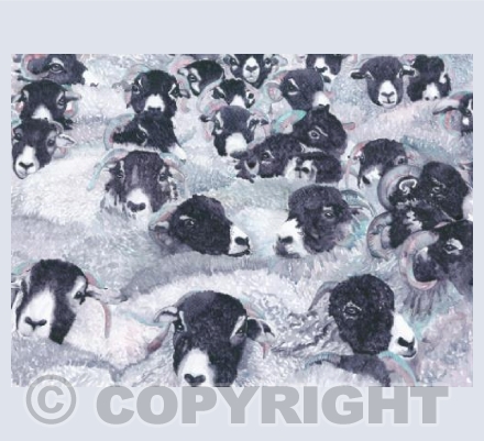 The Flock