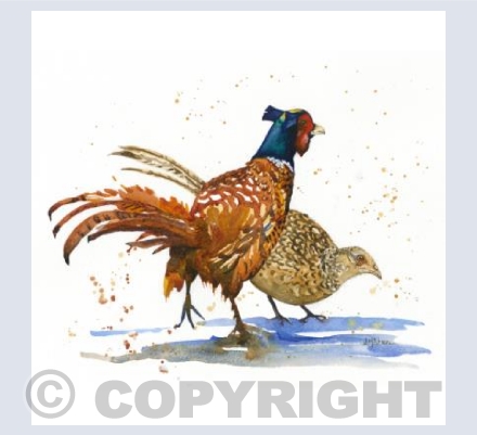 Lord and Lady Pheasant