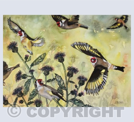 The Melancholy Charm