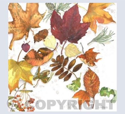 Autumn Rain