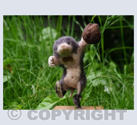 Murphy Mole
