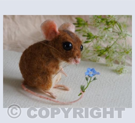 Forget-Me-Not