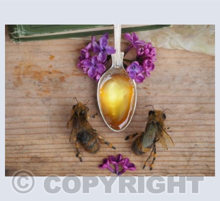 A Spoonful Of Honey