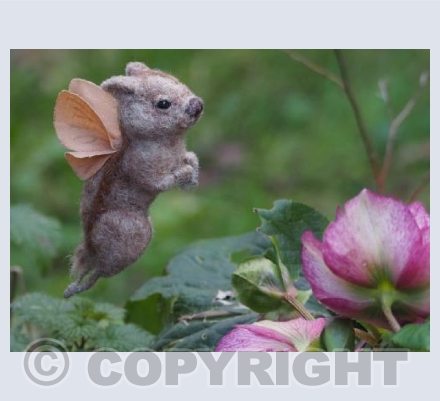 Amongst The Hellebores