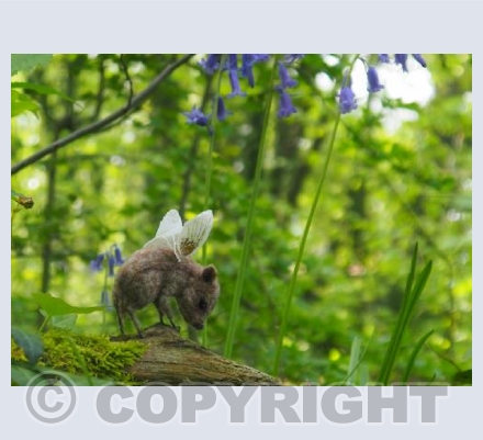 Bumblehog In The Woods