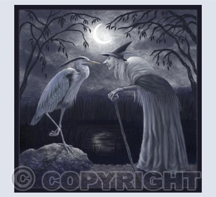 'Sharing Heron Wisdom' | GRSC21