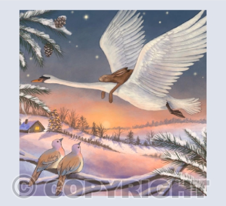 'Flying the Yule Dawn' | Y39