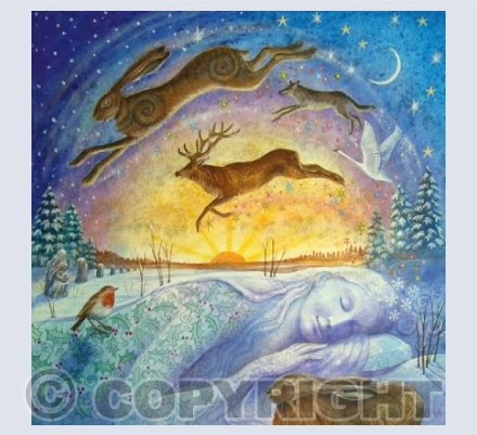 'Gaia's Winter Rest' | Y12