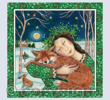 'Starry Fox Hug' | Y25