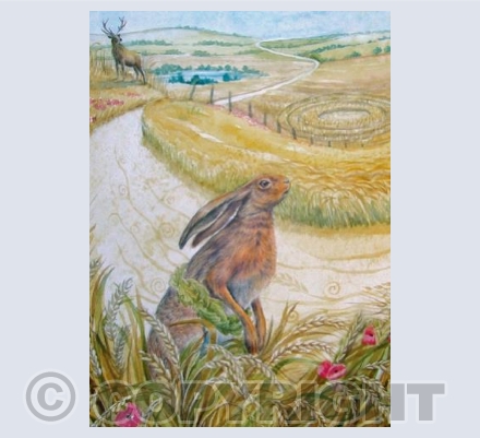 'Harvest Hare' | GLMH09