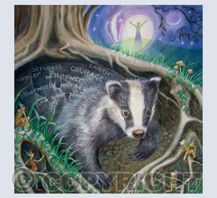 'Calling Badger' | GRSC01