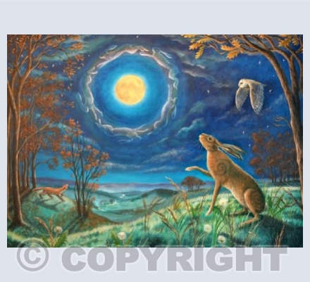 'Hare Moon Halo' | GRSC14