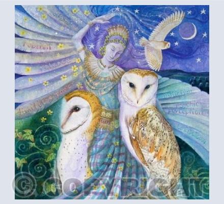 'Owl Dancing' | GRSC03