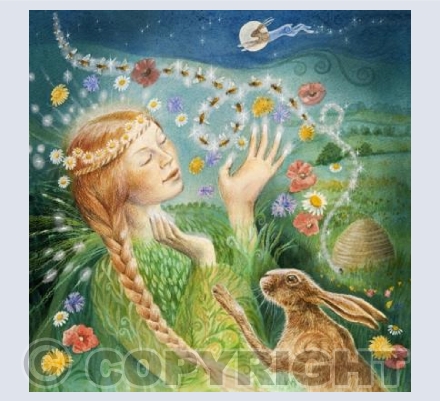 'Bee Bliss' | GRSC10