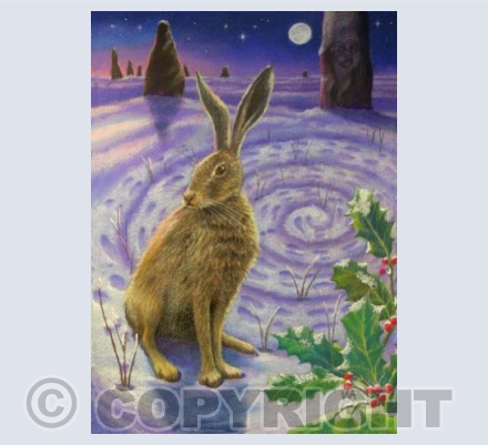 Winter Solstice Spiral | Y03