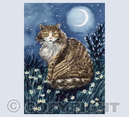 'New Moon Vigil' | GRSC19