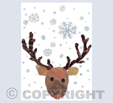 Reindeer