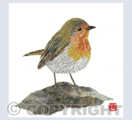 Robin