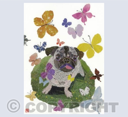 Dog with Butterflies