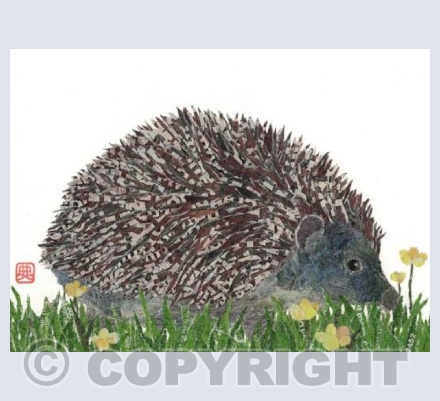 Hedgehog