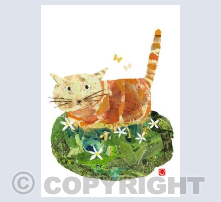 Cat in the Field