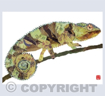 Chameleon