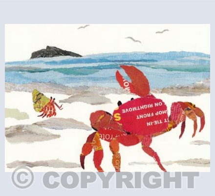 Crab on the Shore