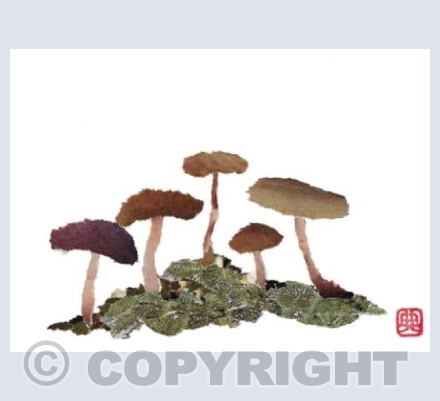 Mushrooms