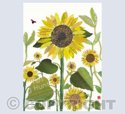 Sunflowers