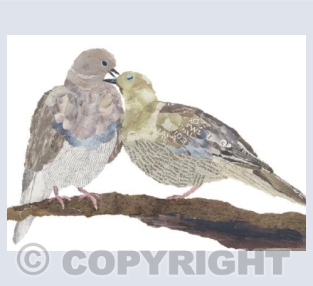 Pigeons