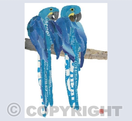 Blue Parrots
