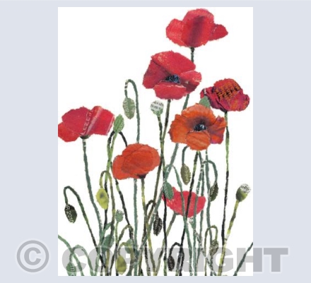 Poppies