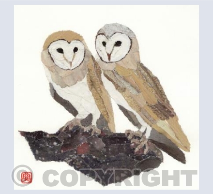 Owls