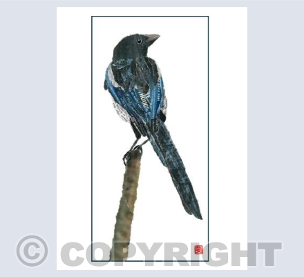 Magpie with frame