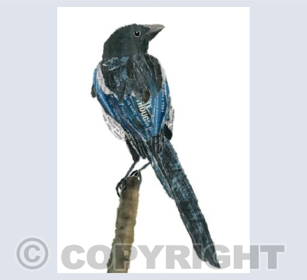 Magpie