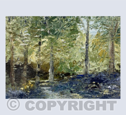 Bluebell Wood