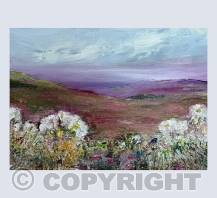 Exmoor in the pink