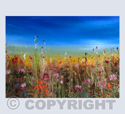 Summer Field