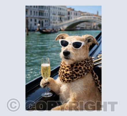 Flo in Venice