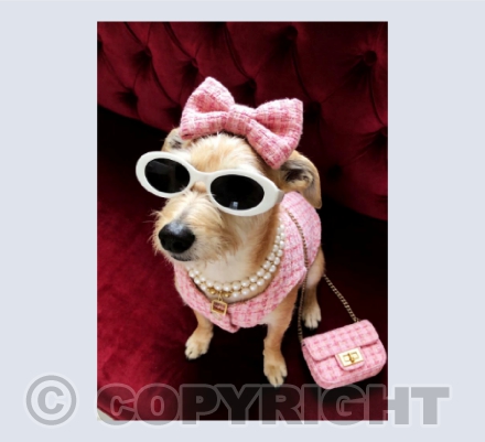 Flo goes shopping