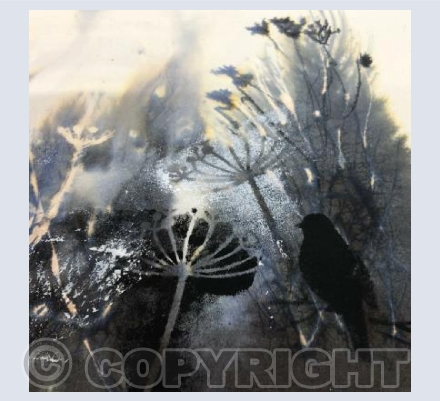 Blackbird in the snow