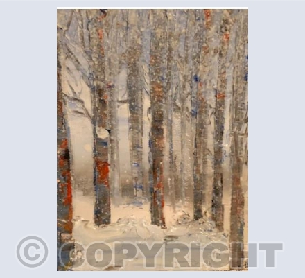 Woodland in the Snow