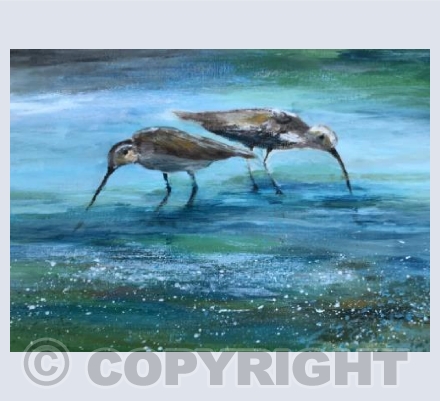 Two wading birds