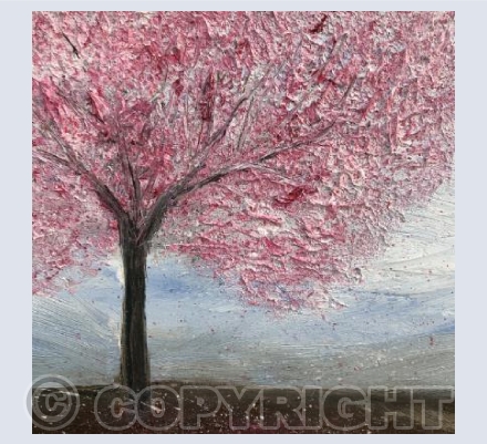 Cherry blossom 