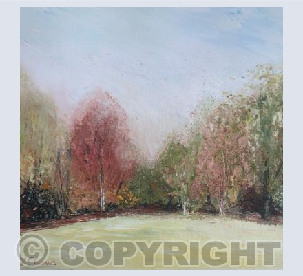 Walk in the park