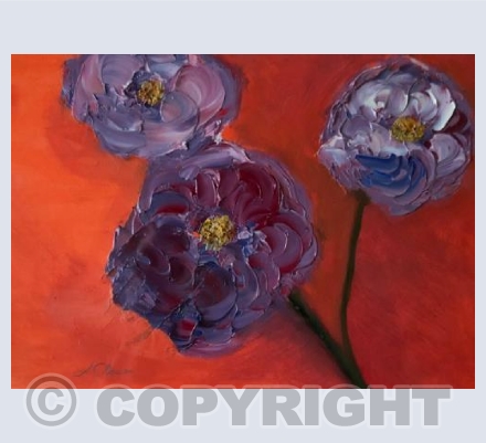 Purple blooms 