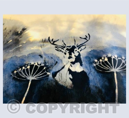Stag and Seedheads
